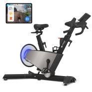 Lifespan Fitness SM-720i Magnetic Spin Bike with Incline/Decline