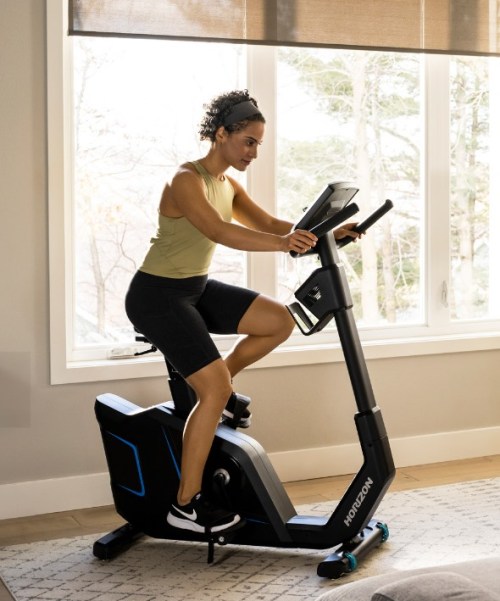 Horizon 5.0 Upright Exercise Bike