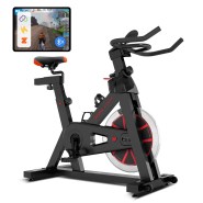 Lifespan Fitness SP-310 (M2) Spin Bike