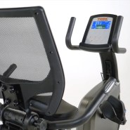 York LC-RB Recumbent Bike - Image 3