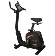 York LC-UB Upright Bike