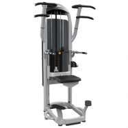 Aura dip chin Matrix commercial gym