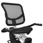 Lifespan RC-300 Recumbent Bike